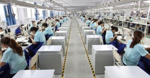 2022年河南電子商務(wù)運(yùn)行呈穩(wěn)定增長(zhǎng)態(tài)勢(shì)，經(jīng)營(yíng)額達(dá)12122.45億元