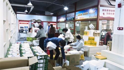 廣東南雄 培育壯大農(nóng)村電商經(jīng)營(yíng)主體，激活鄉(xiāng)村振興新動(dòng)能